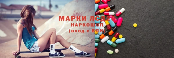 гашик Аркадак