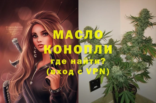 гашик Аркадак