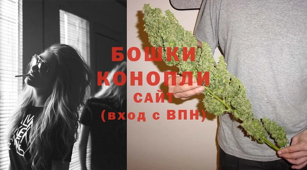 гашик Аркадак