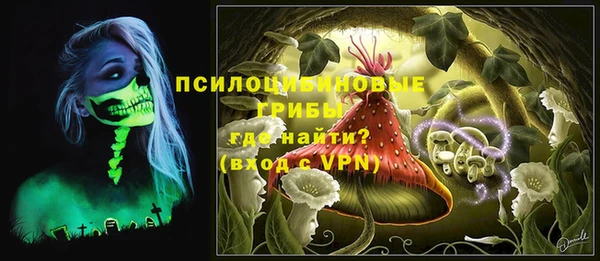 гашик Аркадак
