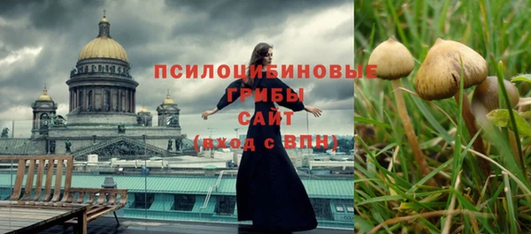 МДПВ Арсеньев