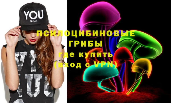 гашик Аркадак