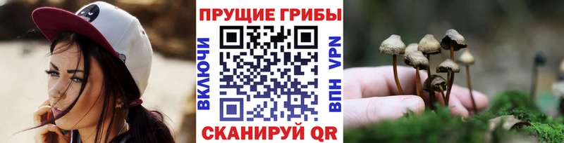 Псилоцибиновые грибы Psilocybine cubensis  купить наркоту  Куса 